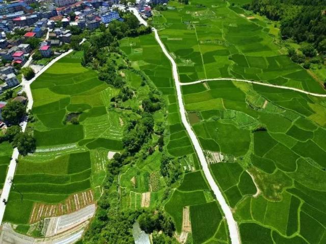 吉安市农业农村局 推动政府信息公开与职业技能培训融合发展